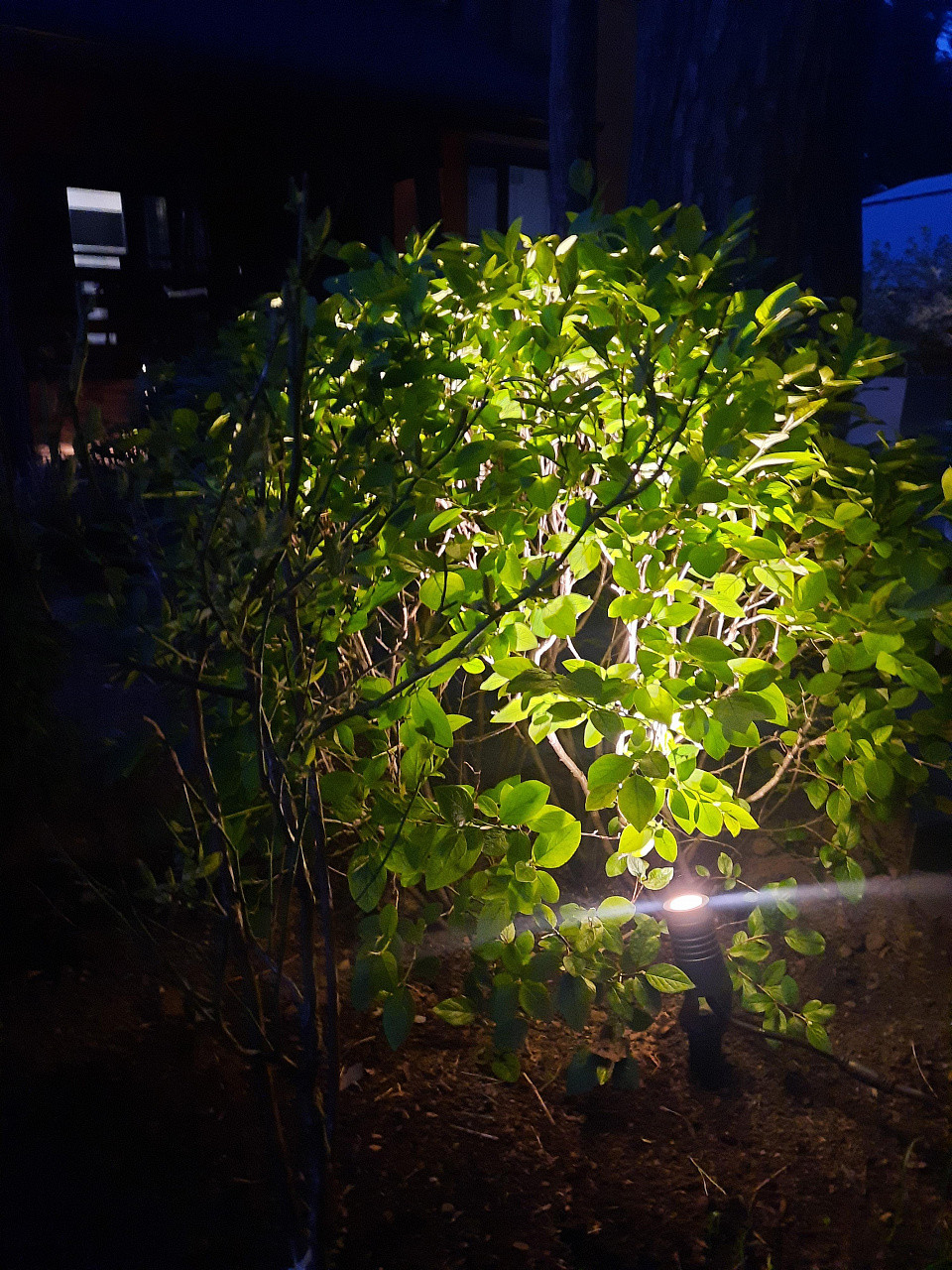 Частный дом, Московская область