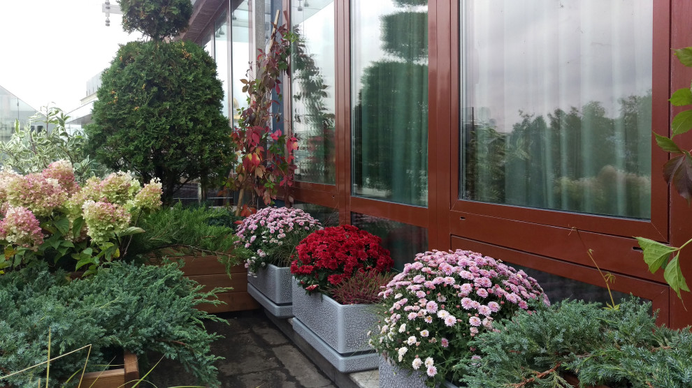 Сад на балконе