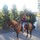 kathy_frederick4733132