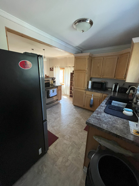 kitchen correction transitional