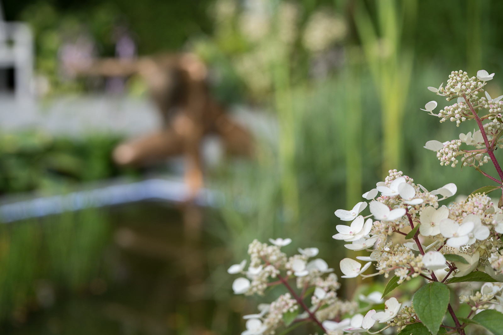 Сад Оксаны Хебородовой Гран-При на Москоу Флауер Шоу ( "Cад Вячеслава Зайцева")