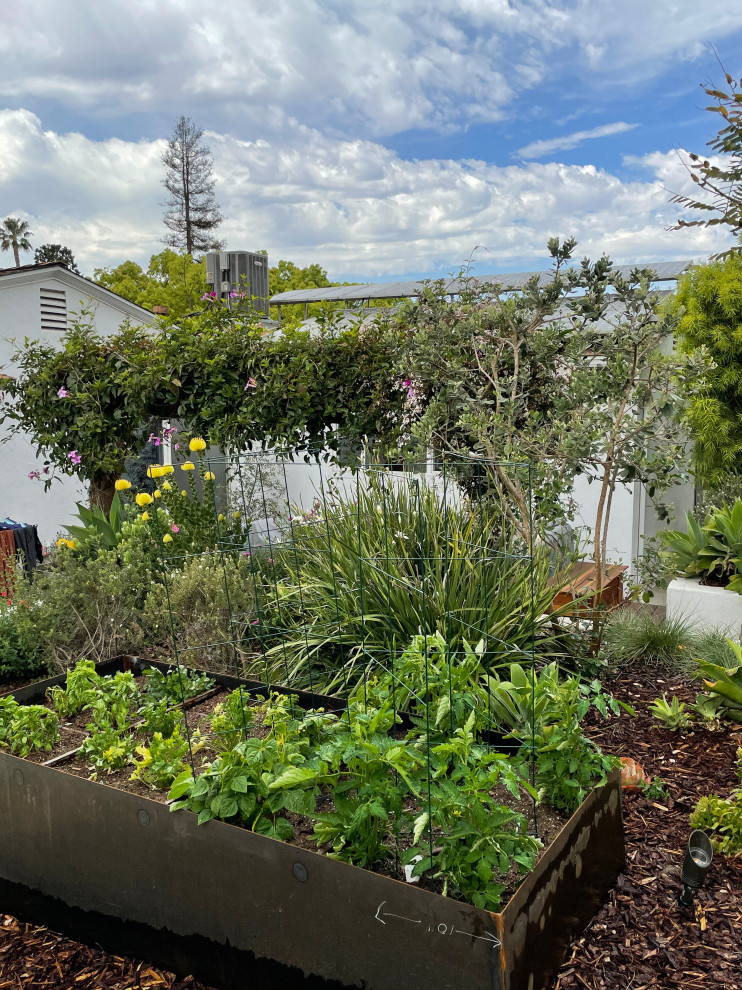 Foto di un giardino xeriscape mediterraneo esposto in pieno sole di medie dimensioni e nel cortile laterale in primavera con un ingresso o sentiero e pavimentazioni in pietra naturale
