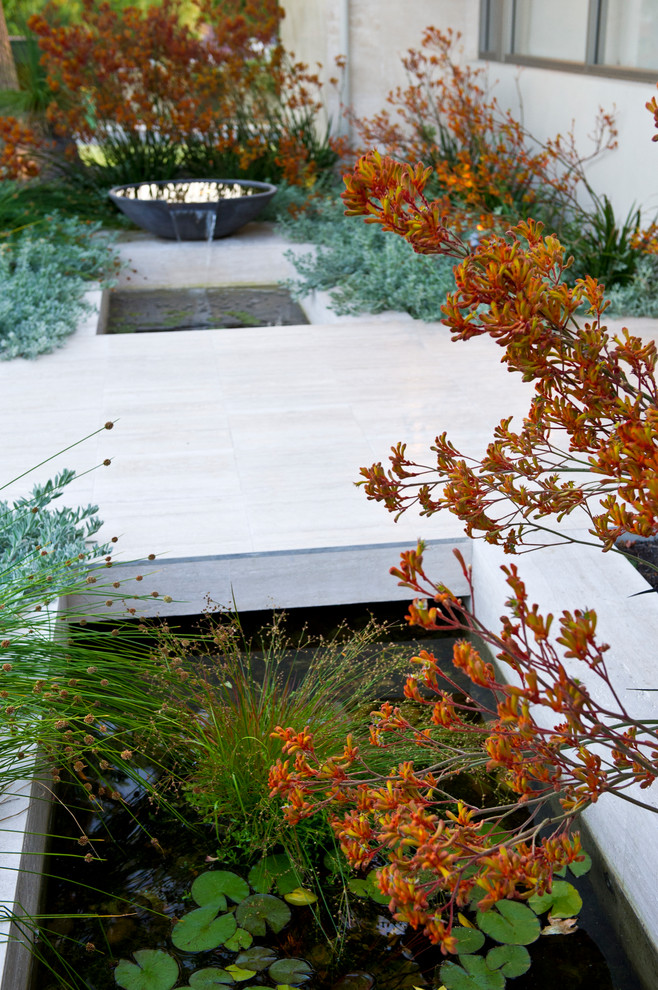 This is an example of a mid-sized contemporary front yard garden in Perth with a water feature.