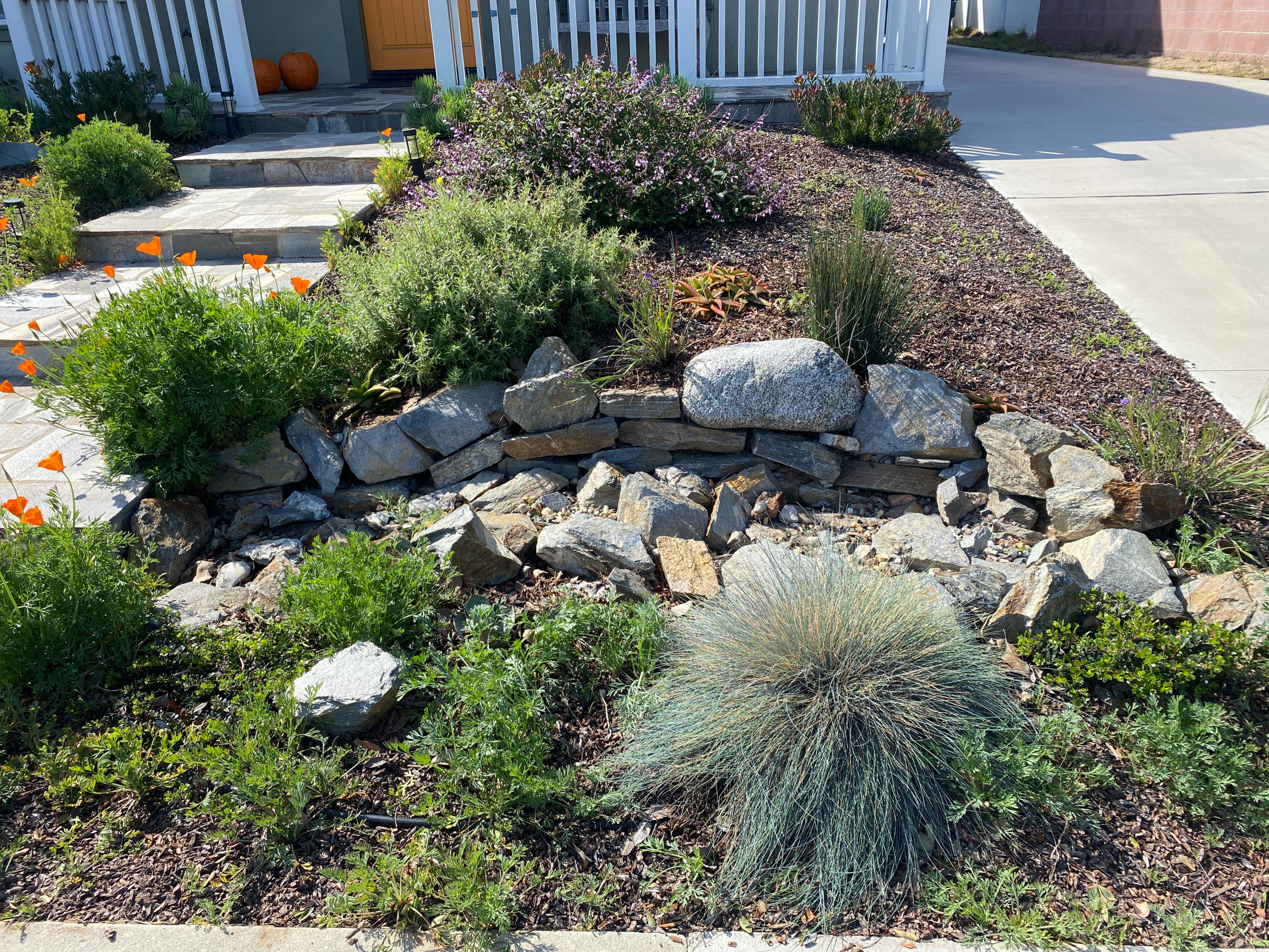 Low Maintenance Curb Appeal