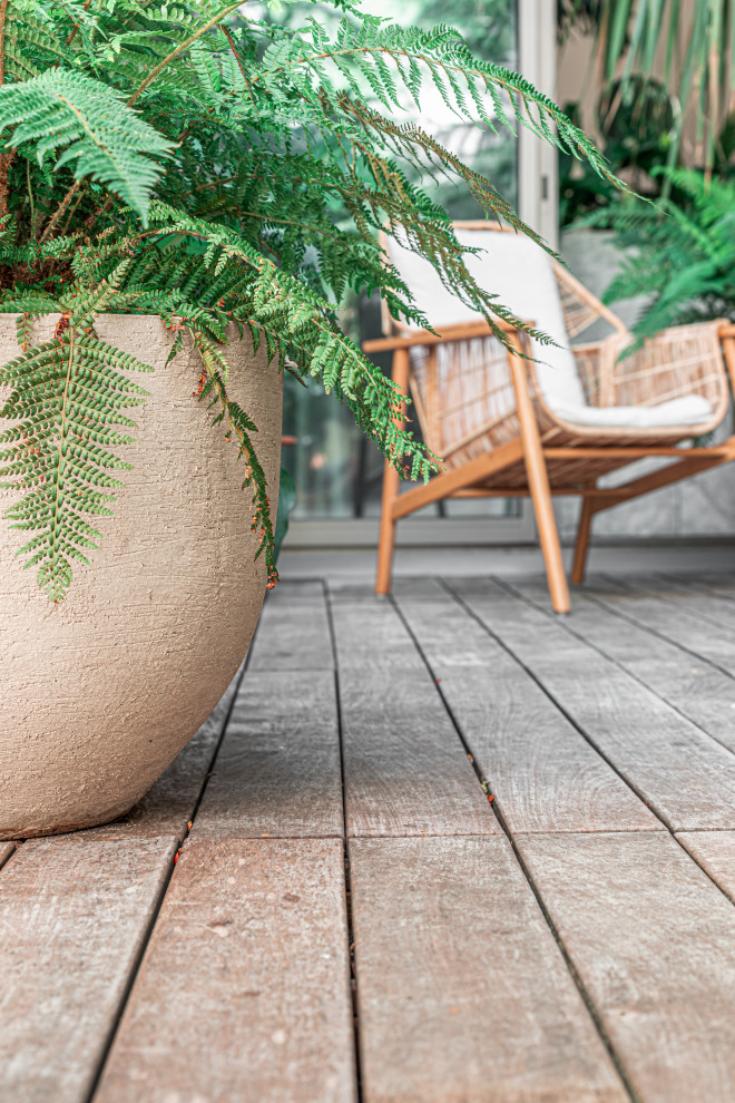 JUNGLE URBAINE Tropical Patio Paris by GARDEN TROTTER Houzz