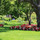Lehigh Lawn Care On Demand & Janitorial Services,