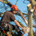 AS Donis Tree Service