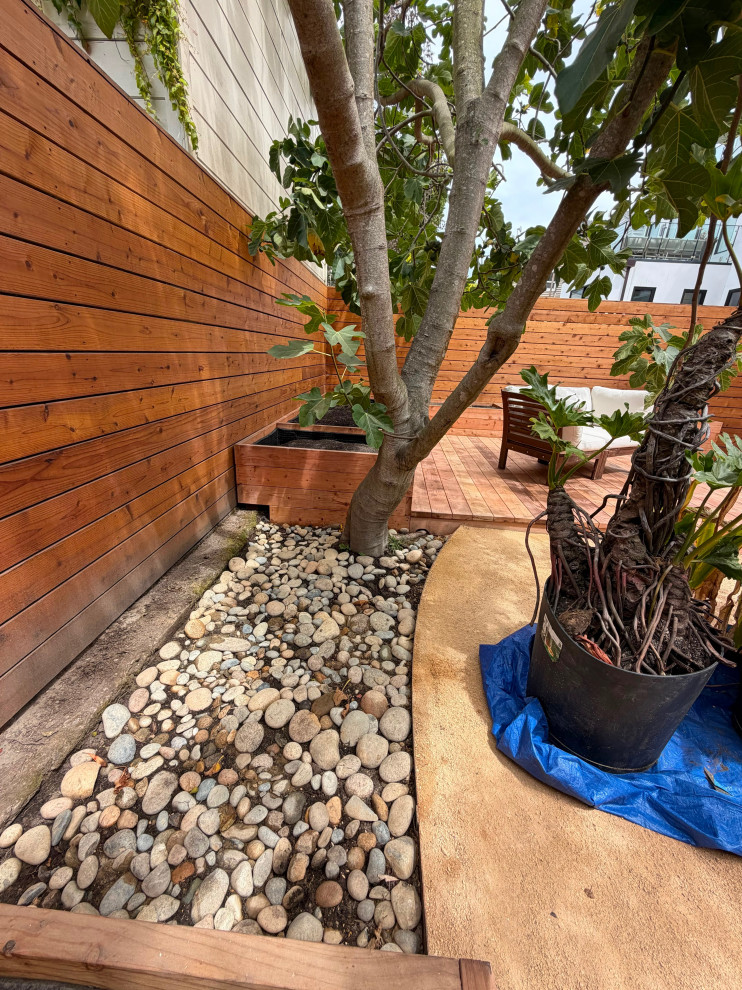 Urban Backyard: Cozy Conversation Space in Drought-Tolerant Contemporary Garden