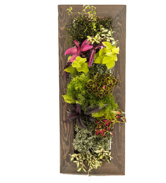 Tall Grovert Ghostwood Planter Frame Kit
