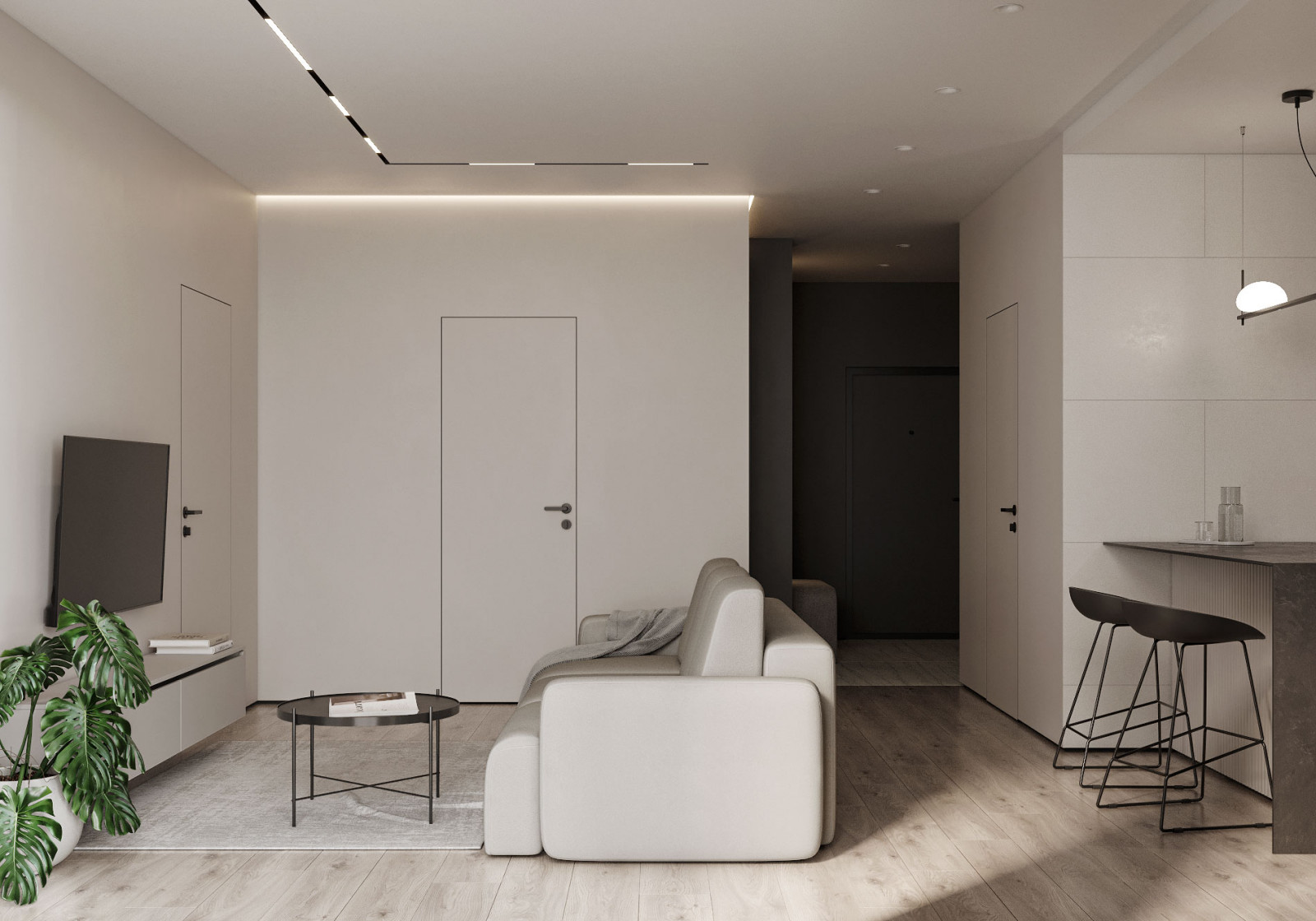 Монохромная кухня - гостиная