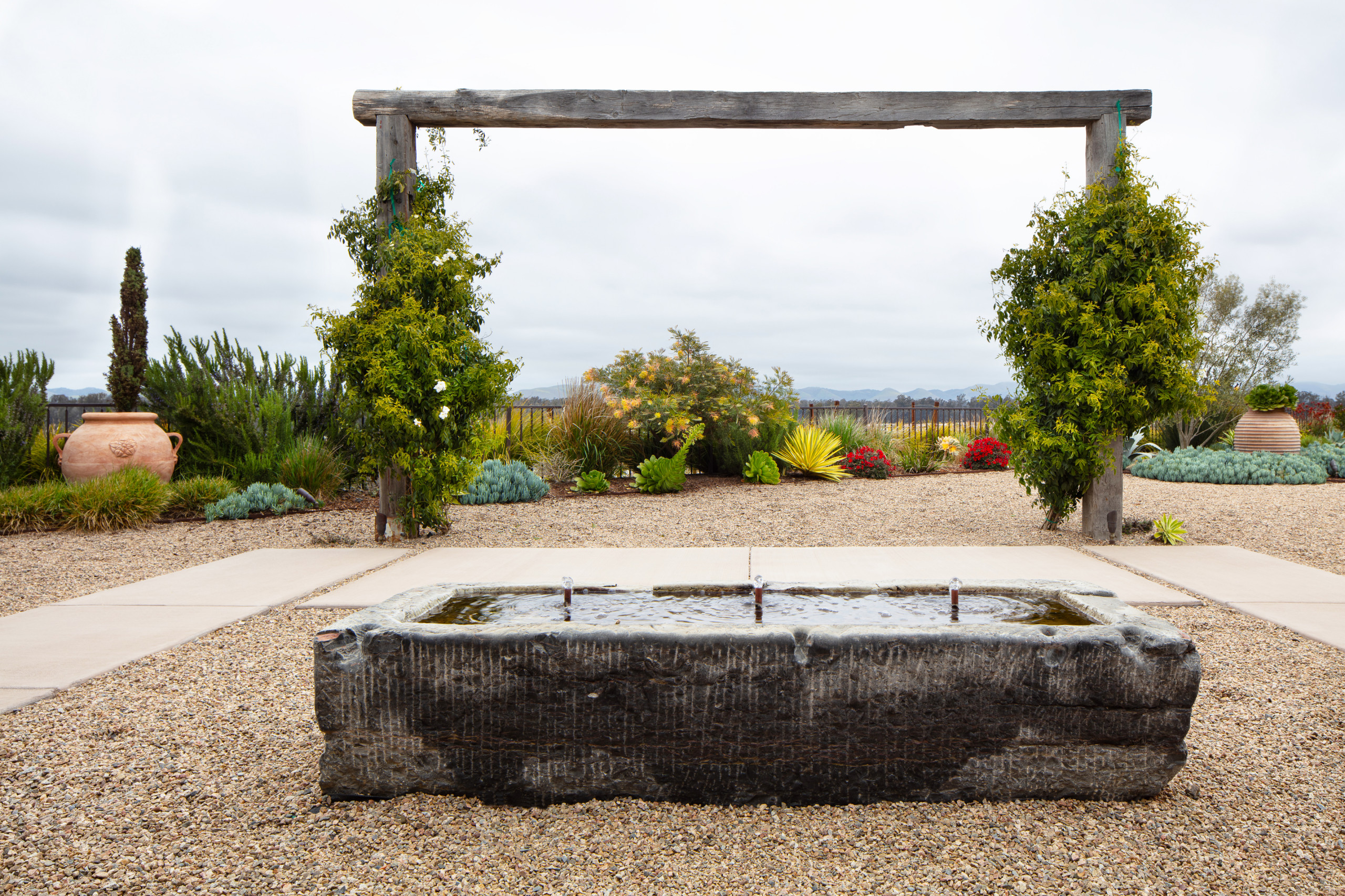 Trilogy Landscape and Outdoor Kitchen