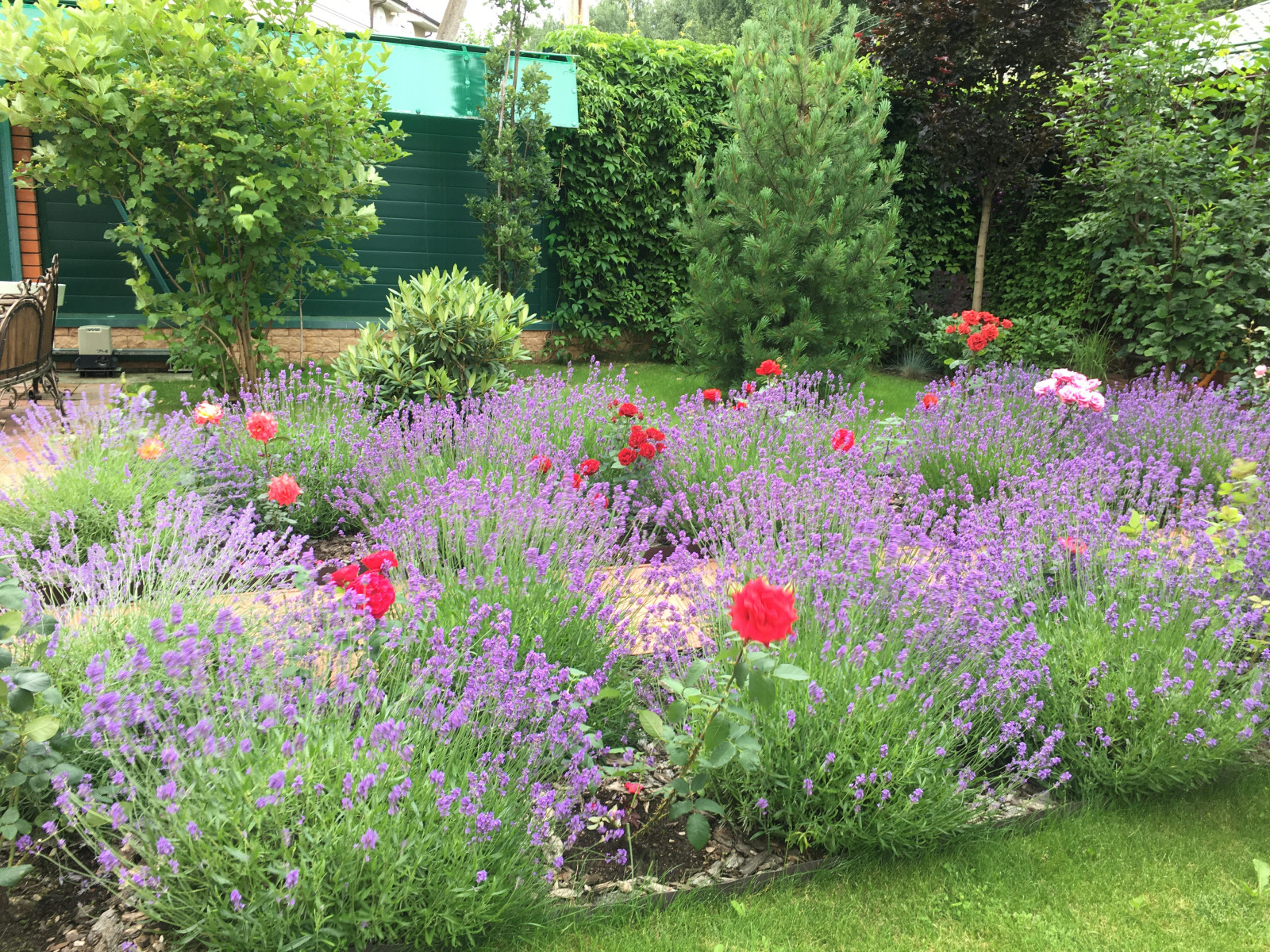 Французский садик в поселке Рыбаки Дмитровское шоссе