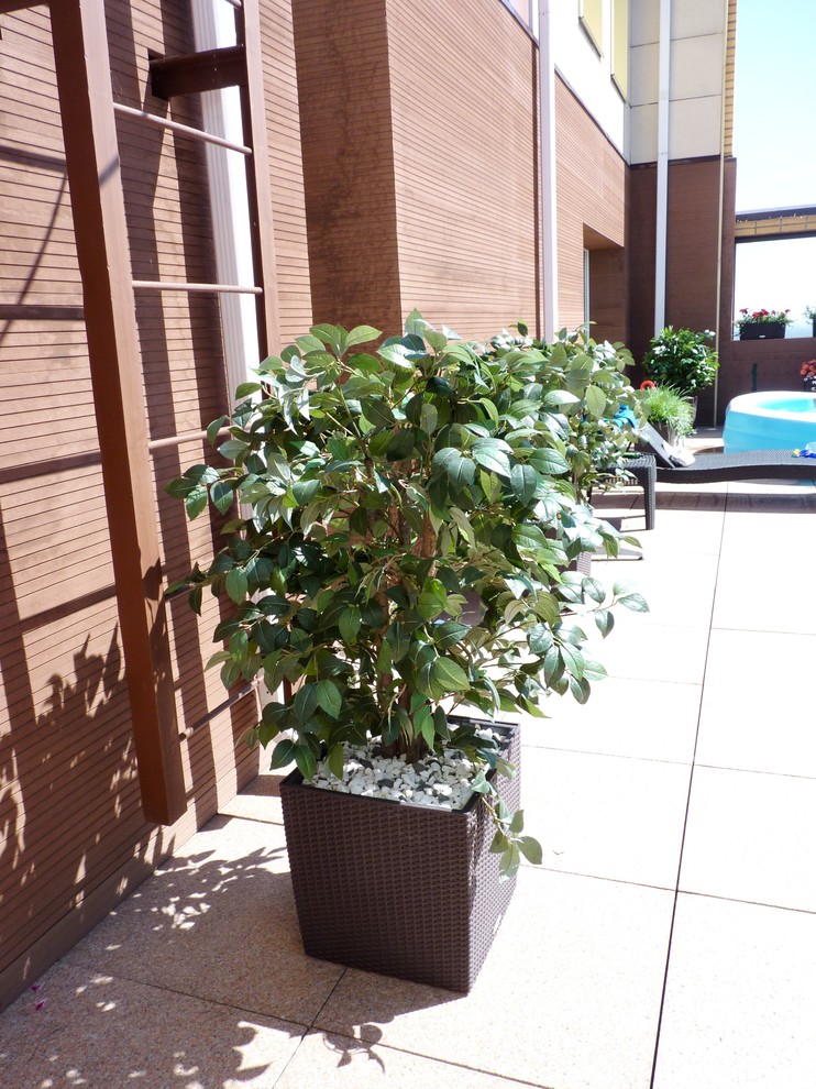 Терраса со средиземноморским характером