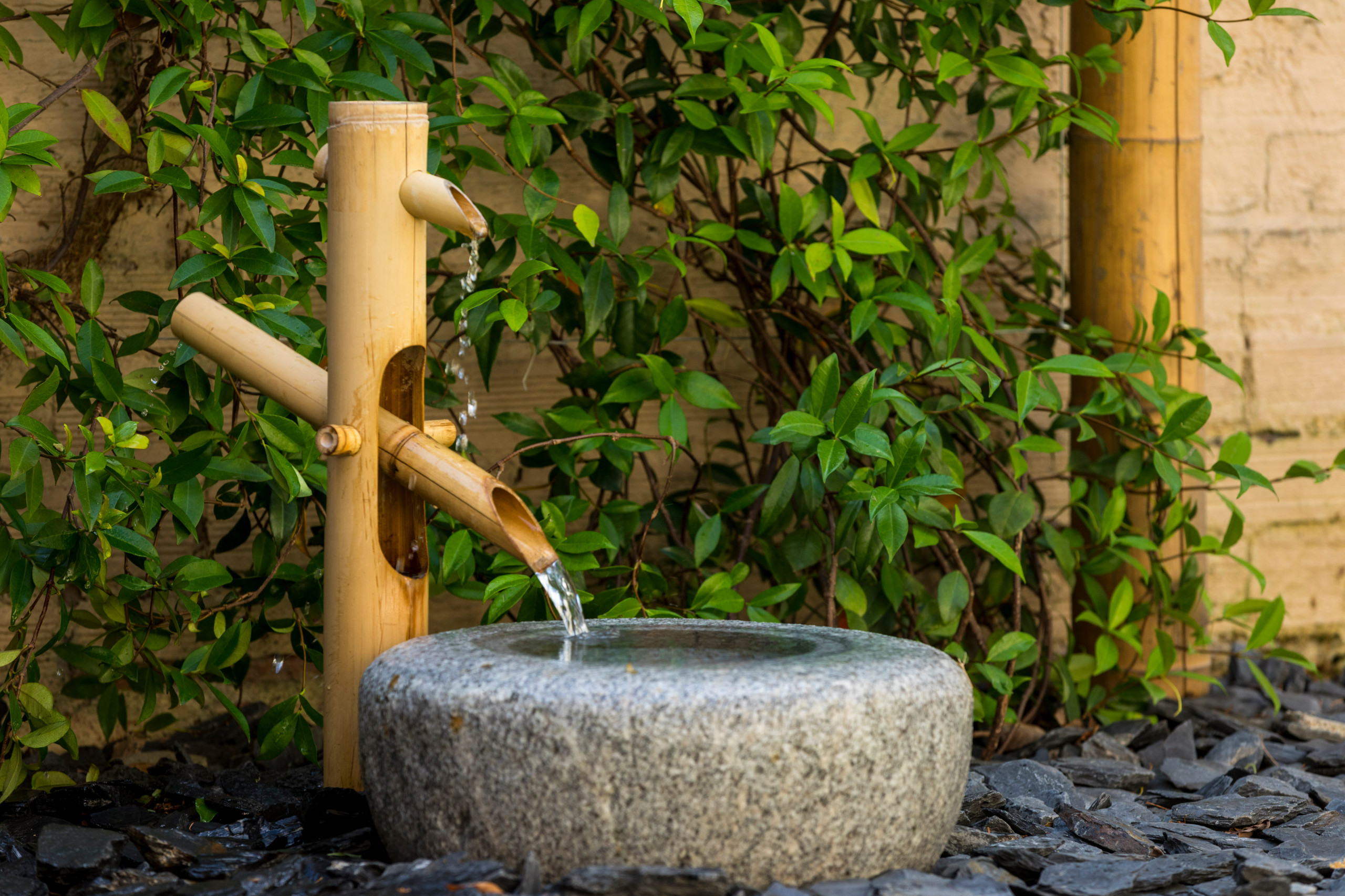 Ambiance Japonaise