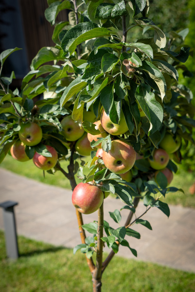 Дом в Оболдино