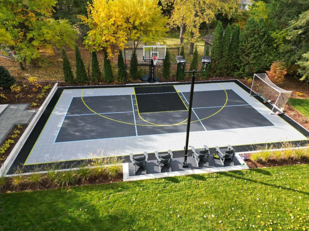 Свежая идея для дизайна: спортивная площадка среднего размера на заднем дворе - отличное фото интерьера