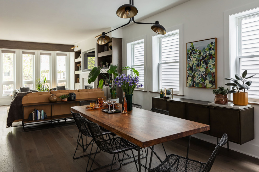 Phoenix Rising in Chicago - Transitional dark wood floor and brown floor great room photo in Chicago with white walls