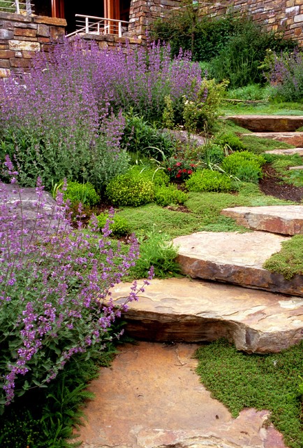 Pathways and Steps modern-garten