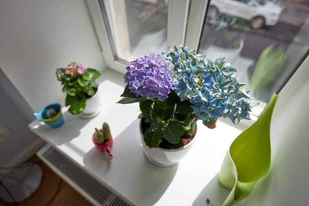 3к.кв Старый фонд