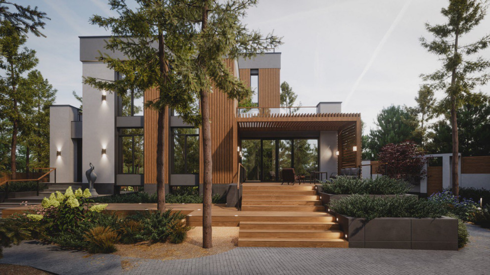 Завораживающий лес