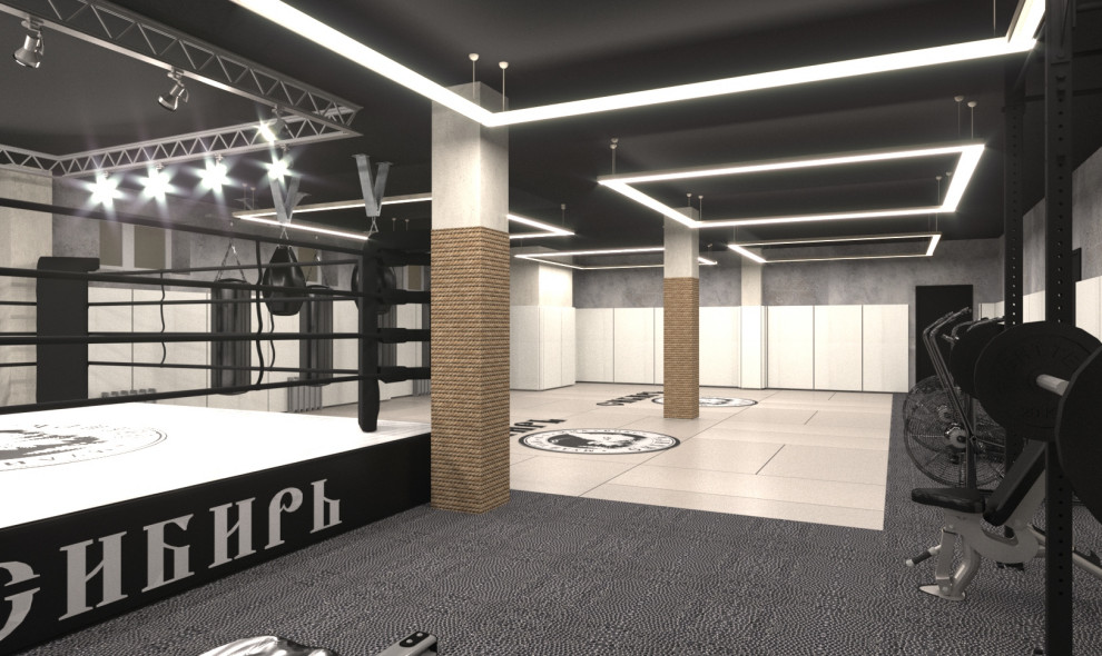 Дизайн проект спортивного клуба "Сибирь"