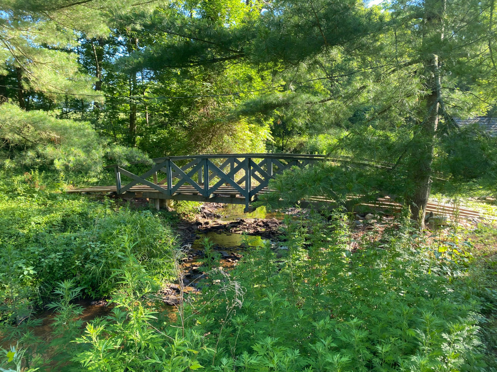 Back Yard Bridge Repair