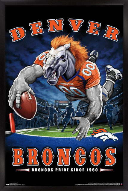 NFL Denver Broncos - End Zone 17