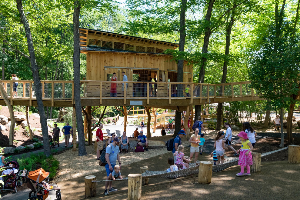 Discovery Woods