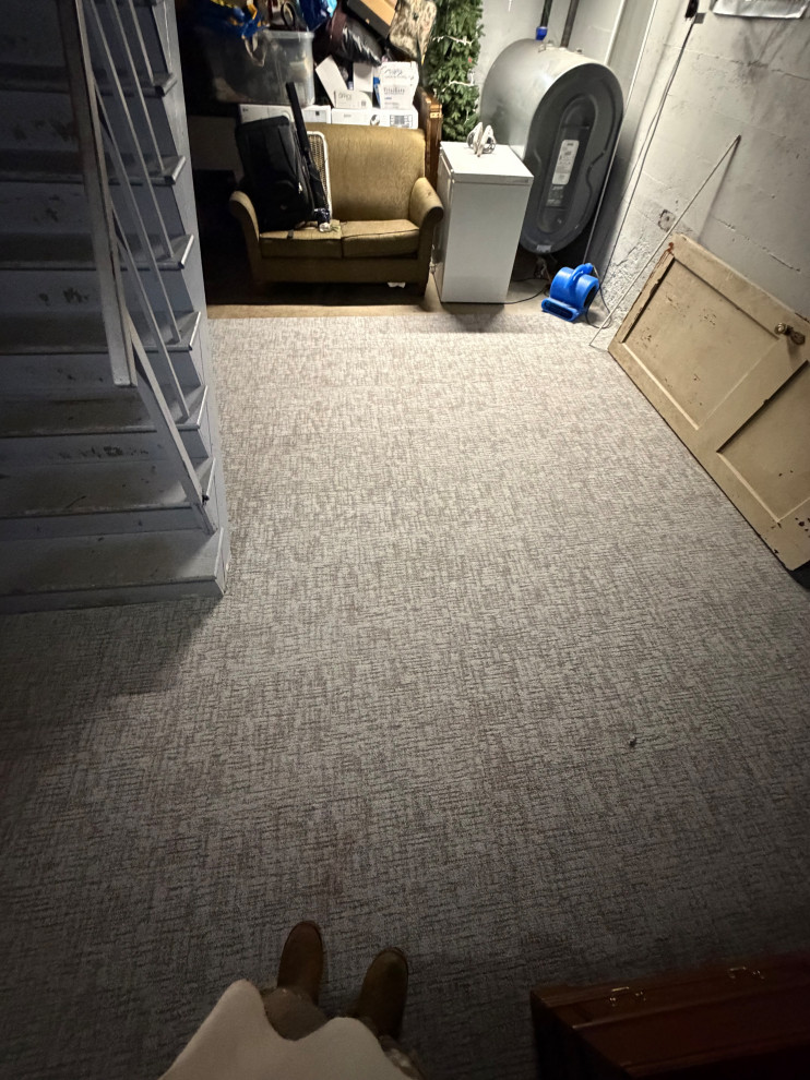 carpet flooring