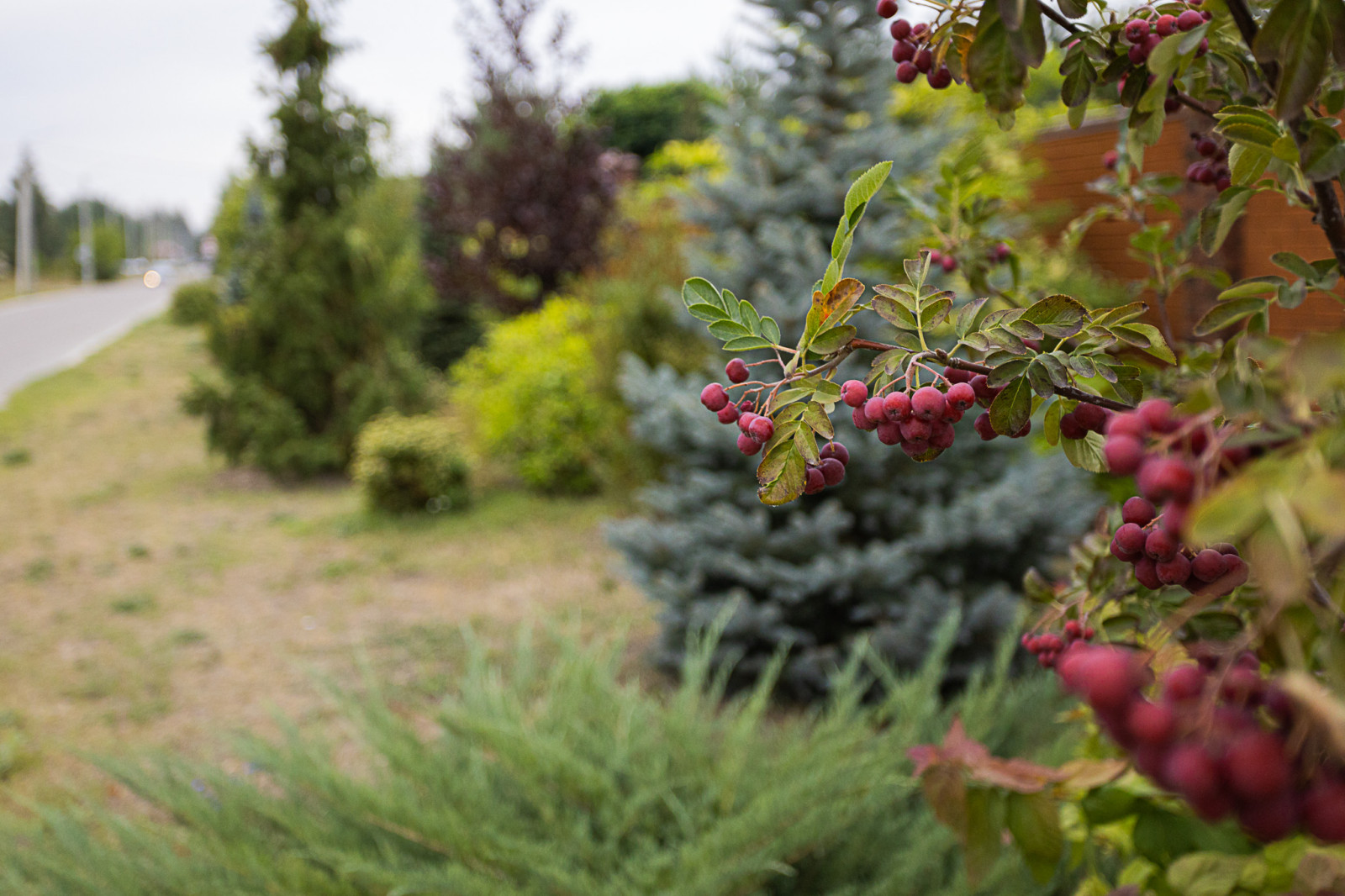 Ландшафтный дизайн. Полина Черных