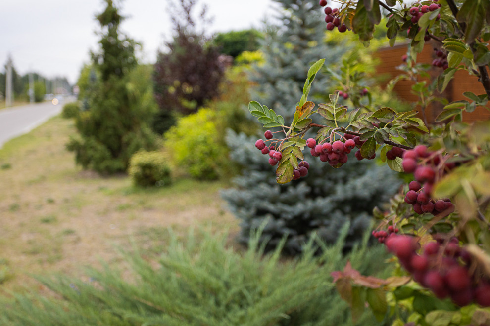 Ландшафтный дизайн. Полина Черных