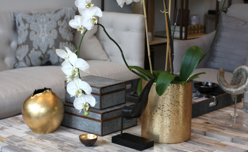 Example of a transitional home design design in Miami