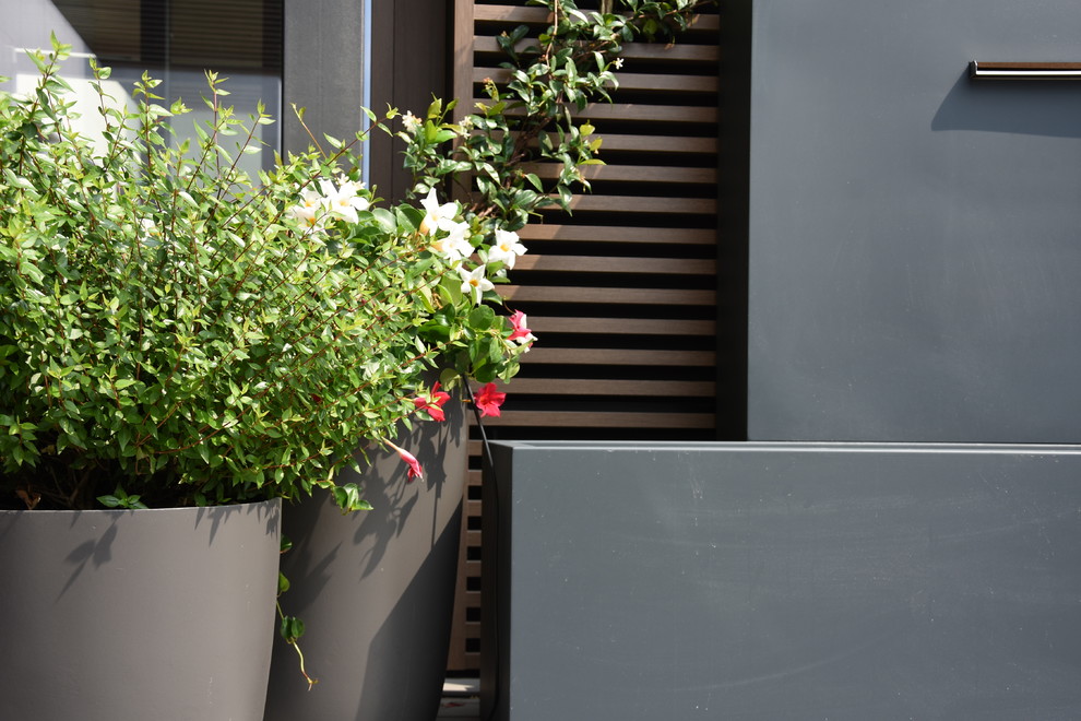 Inspiration for a modern rooftop deck in Milan with a container garden.