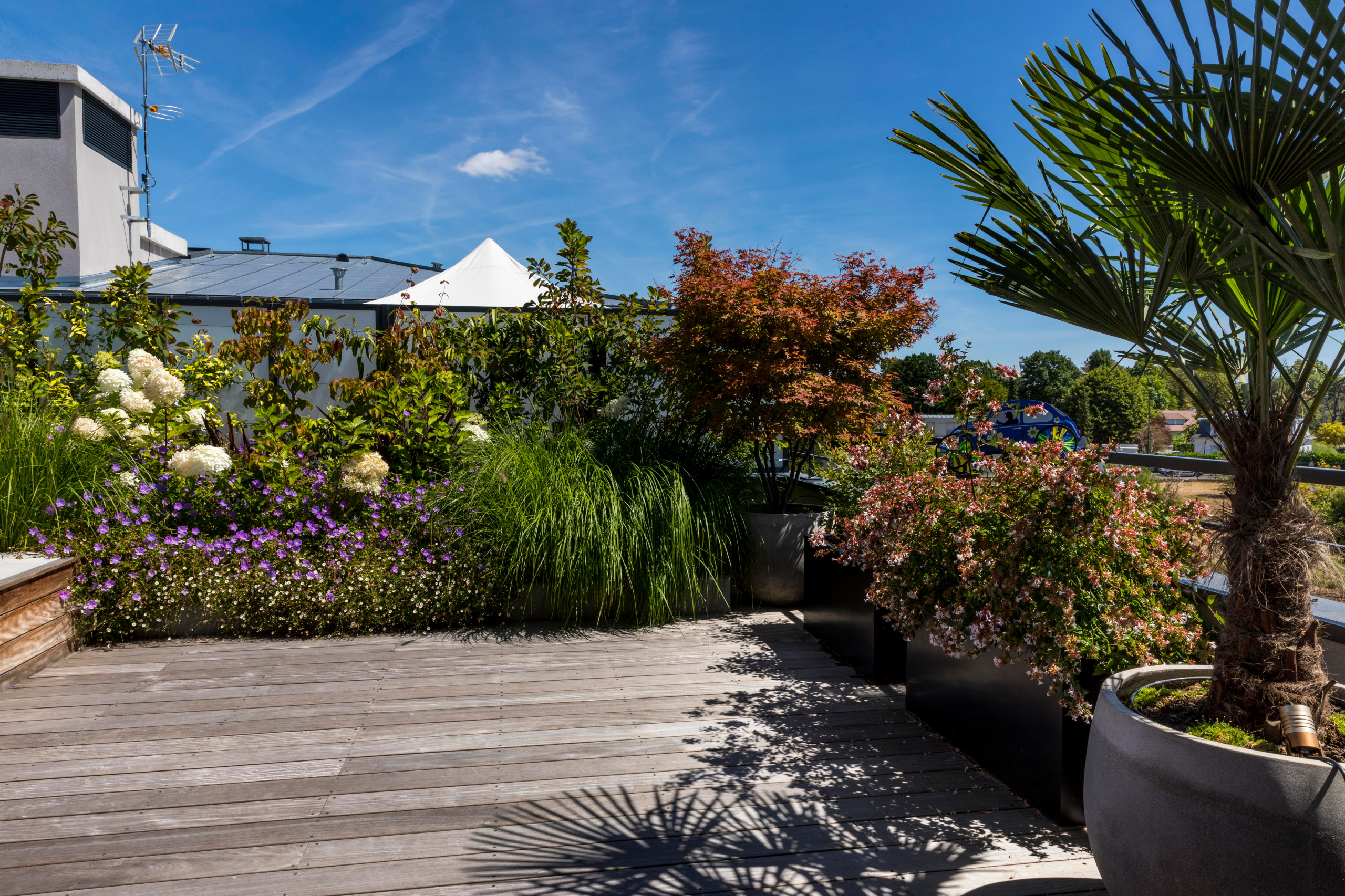 une terrasse foisonnante!