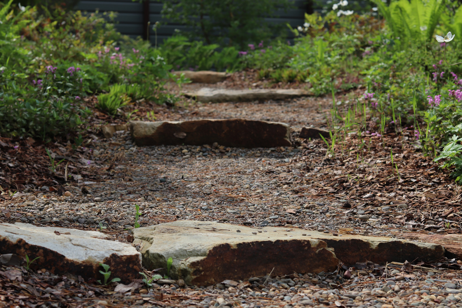 Русский лес