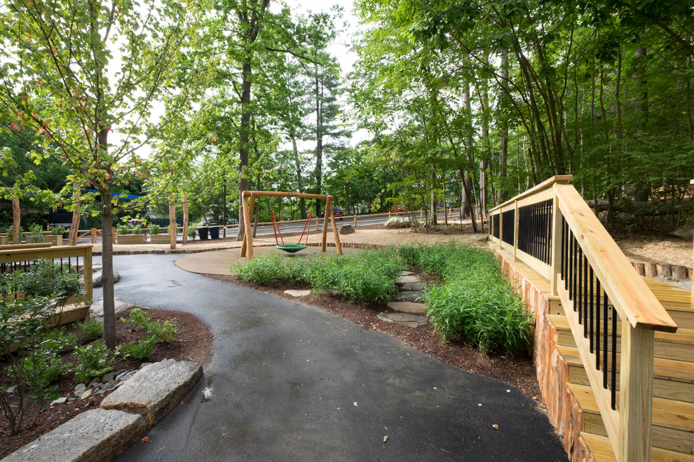 Discovery Woods