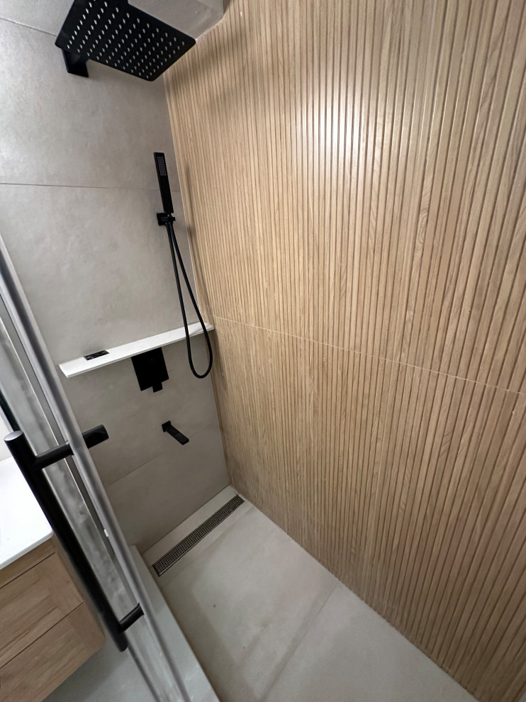 Modern Walk-In Shower Bathroom Renovation