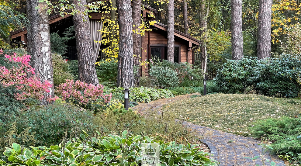 Заповедный бор