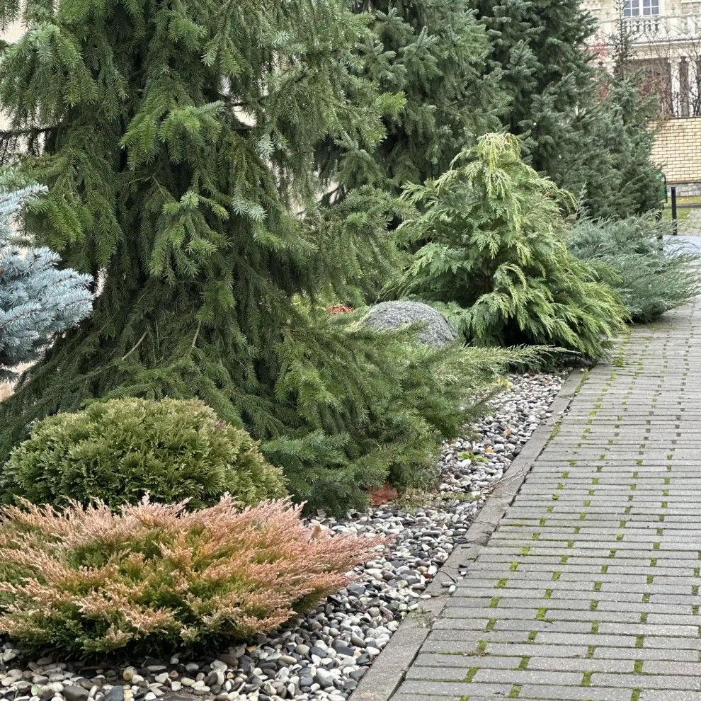 «КЛАССИКА ЖАНРА»