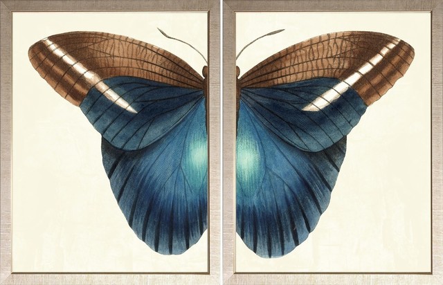 Erfly Duo Small Framed Art Print Contemporary Prints And Erfly Duo Small Framed Art Print