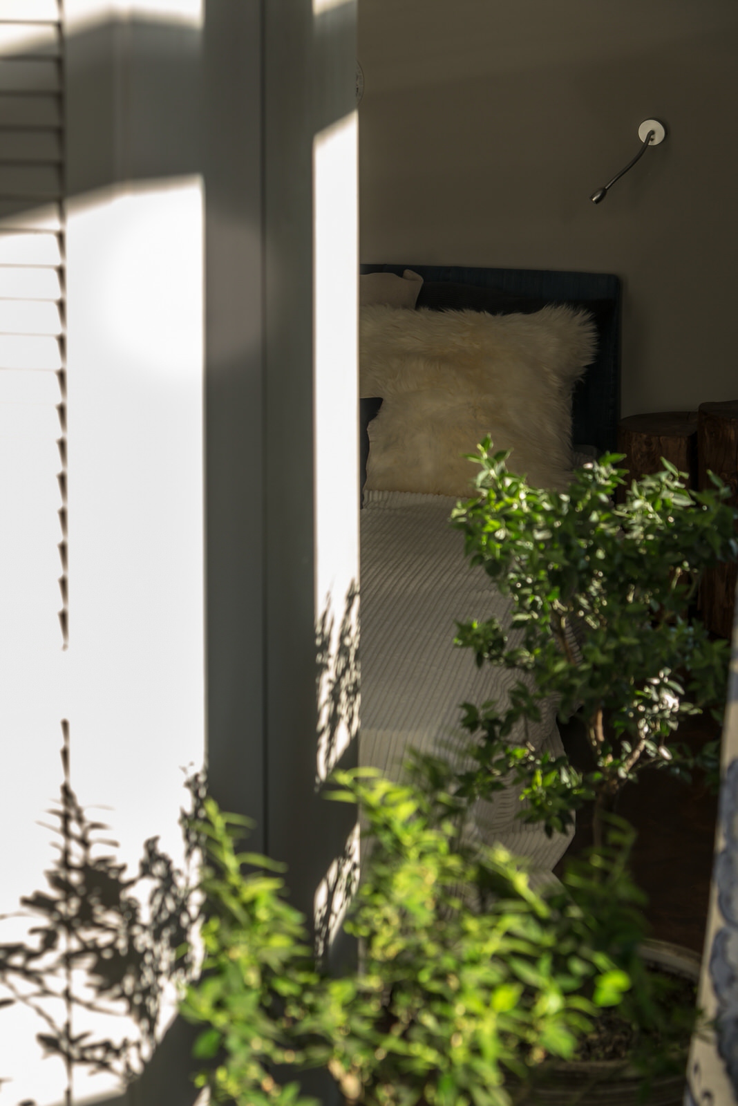 Цвет небесный