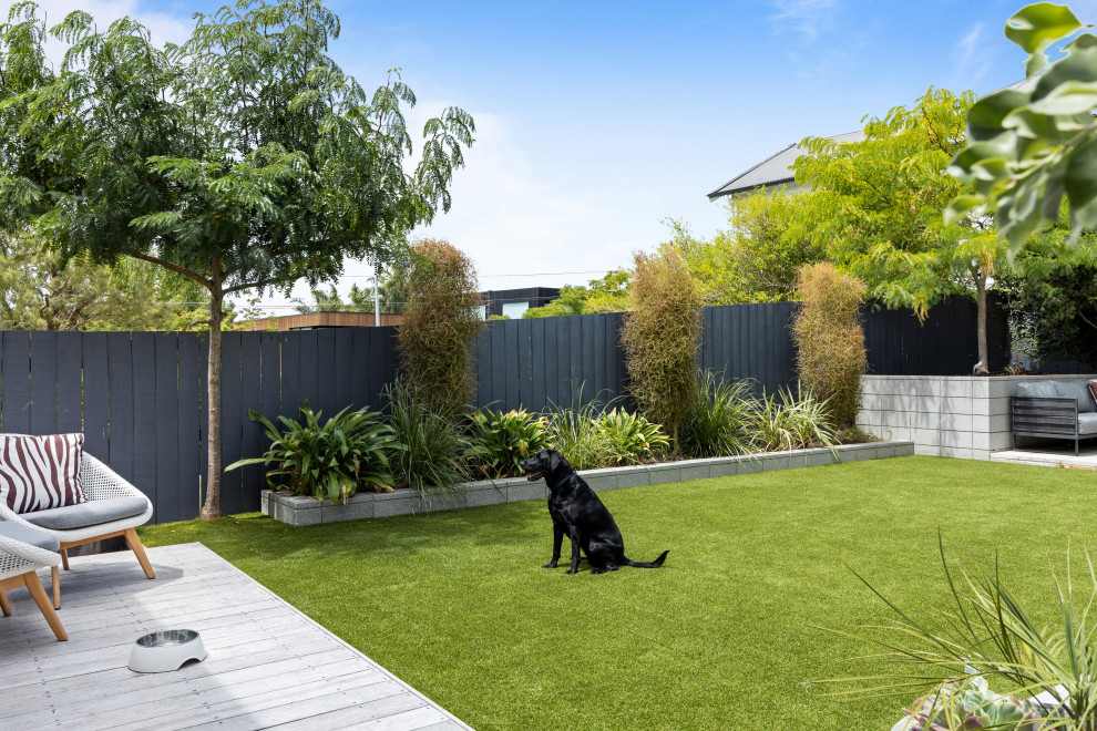 Photo of a medium sized modern back xeriscape garden in Auckland with a climbing frame.