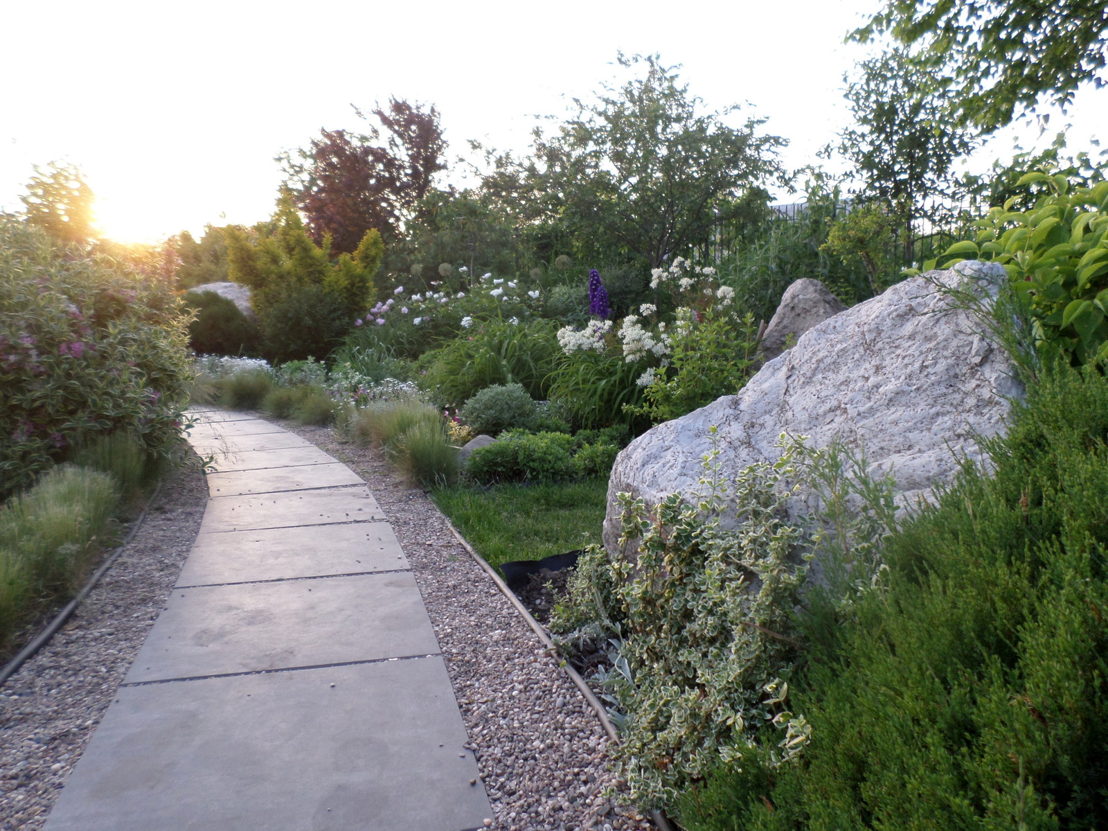 Сад над морем.