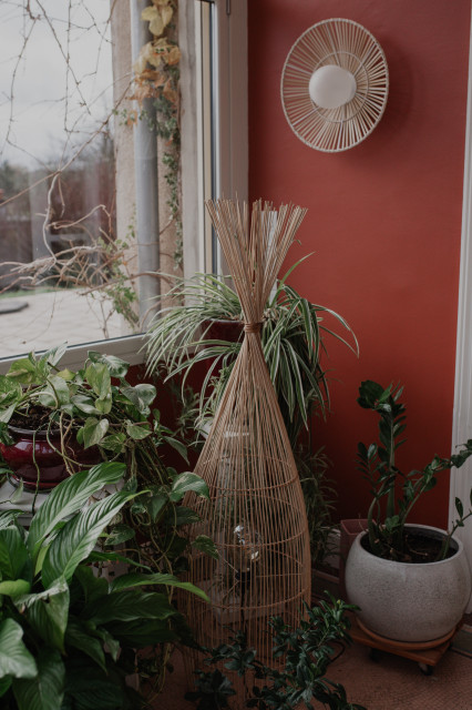 jardin d'hiver klassisch-modern-wintergarten