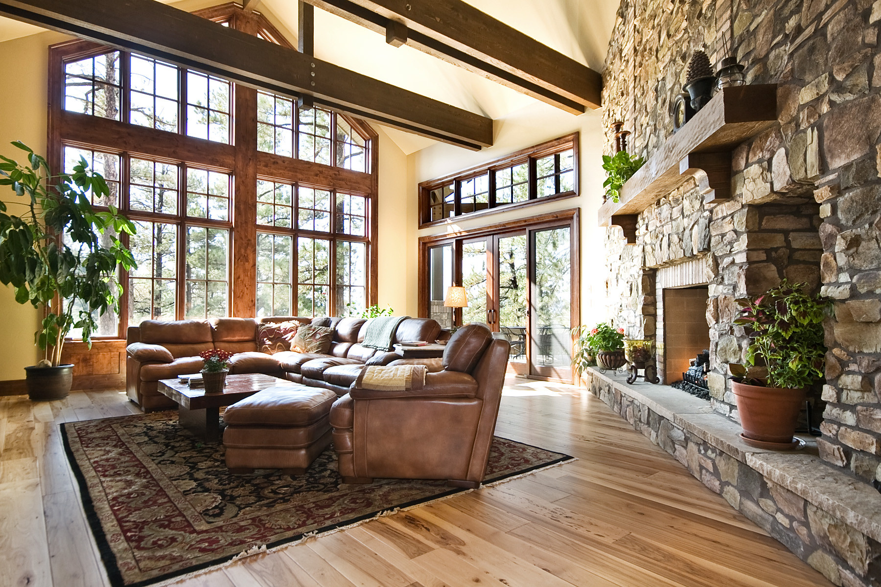Castle Pines Mountain Rustic