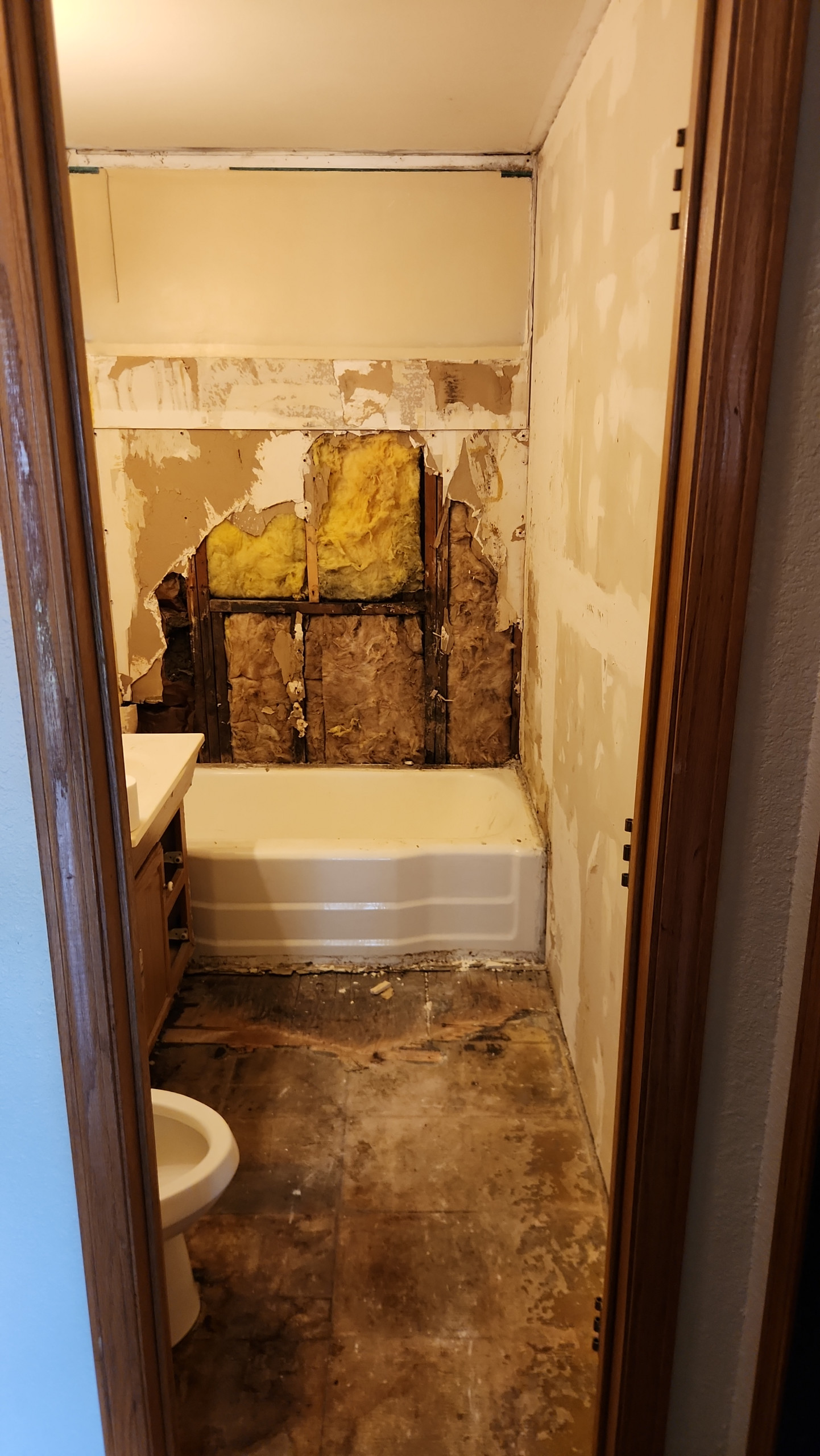 Bathroom update