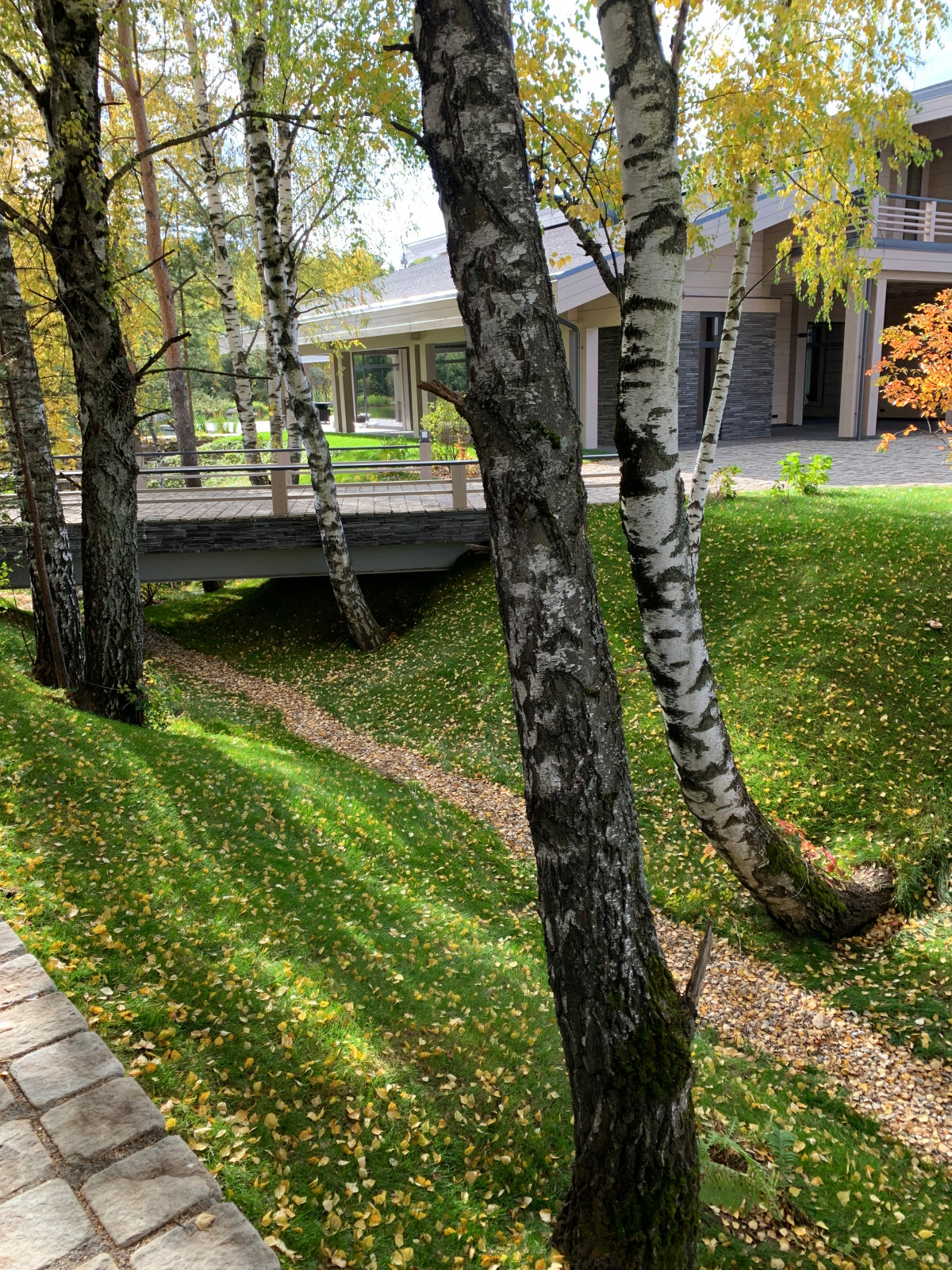 Проект сада с водоемом