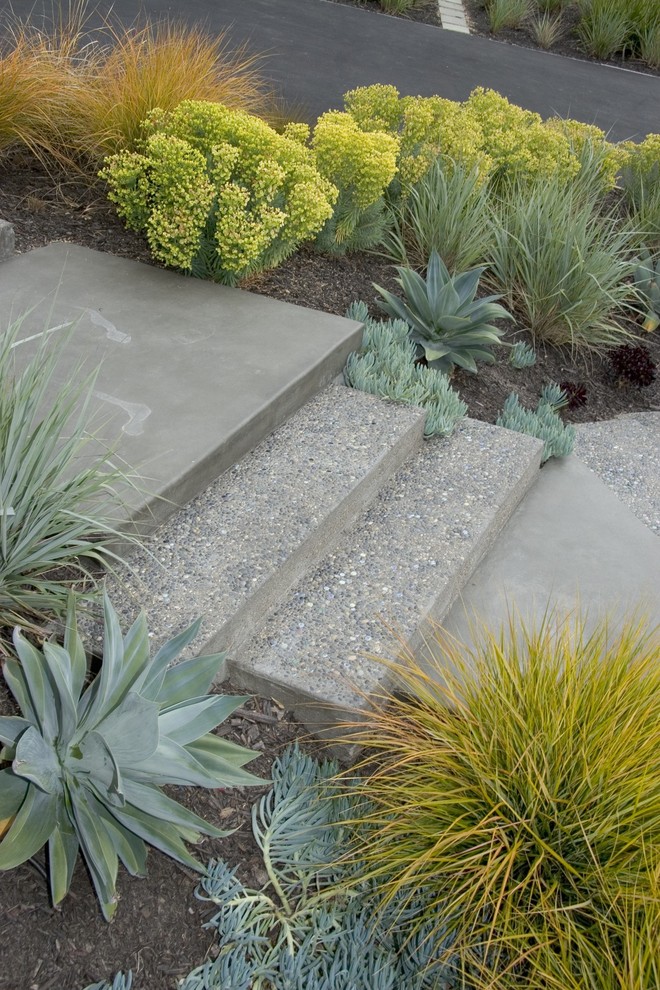 Midcentury front xeriscape garden steps in San Luis Obispo.