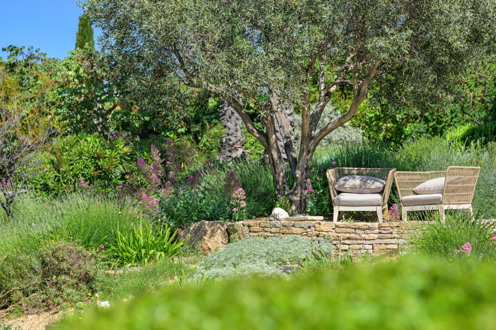 La Ciotat (Bouches du Rhône) - Jardin méditerranéen en restanques