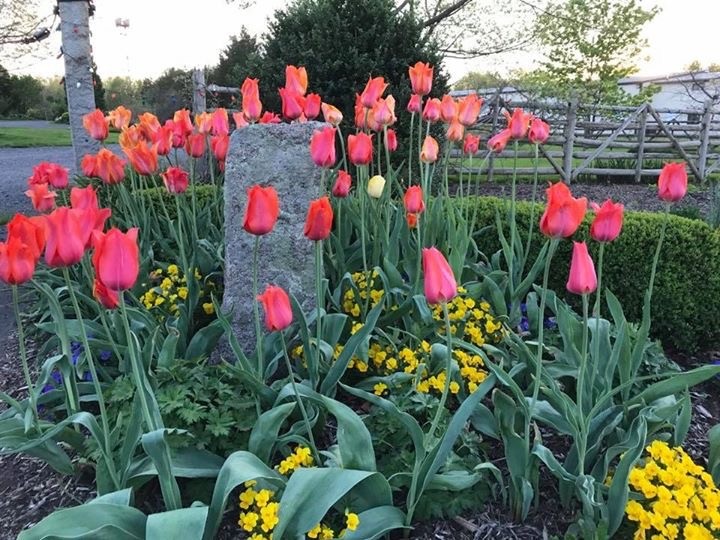 Linden Hill Gardens Highlights - Farmhouse - Philadelphia - by Jerry